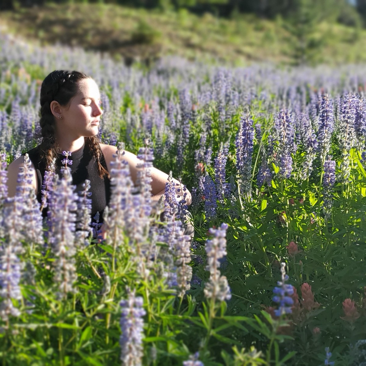 GAHDT Society of Fellows Research&nbsp;Project